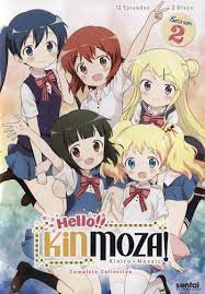 Hello Kinmoza The Complete Collection 3 Discs Dvd Best Buy Terror In Resonance Anime Characters Complete Collection