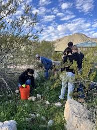 WTMC Partners with Canyon View High School FFA For Invasive Pull