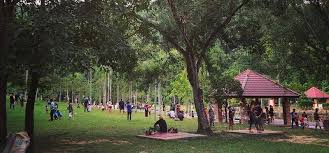 Bagi penduduk ttdi (atau pun orang luar dari ttdi), taman rimba kiara ni tempat terdekat yang diorang ada untuk release tension, bersenam, berbasikal, dan lepak dengan keluarga. Bfm The Business Station Article Trouble In Taman Rimba The Residents