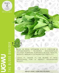 Image result for Telfairia