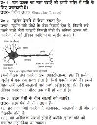 Ncert Solutions For Class 9 Science Chapter 6 Tissues