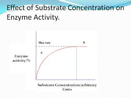 Km does not change, but vmax is lowered. Topic 3 6 Enzymes Why Should We Study Enzymes All Metabolic Reactions Such As Photosynthesis Digestion And Respiration Are Catalysed By Enzymes Allow Ppt Download