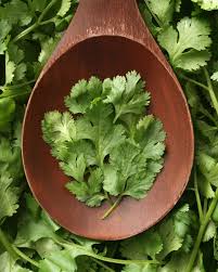 Chopped Cilantro On Your Pho Yay Or Nay Herbs Culinary Herbs Parsley Recipes