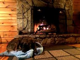 House / apartment in logan. At Hocking Hills Cabins Pet Friendly Environments Abound Hocking Hills Tourism Association Ohio Tourism And Travel Blog