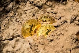 With stormgain, you're guaranteed to mine bitcoins daily. How Free Bitcoin Mining Without Investment Works 37coins