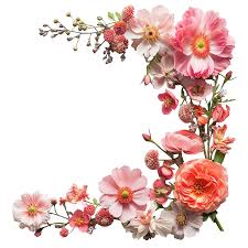 Hình ảnh Hoa Khung Góc Trên Bên Phải PNG , Hoa, đứng đầu, Bên Phải PNG  trong suốt và Vector để tải xuống miễn phí