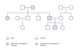 Igcse Biology 2017 3 24 Understand How To Interpret Family