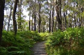 Galleries Ora Beach House Wonderful Places Scenic Lands Downunder