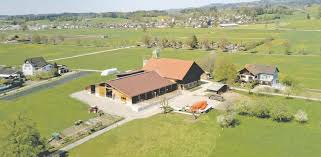 100 Jahre Hof Menzi, Halden, Tann