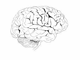 You can use our amazing online tool to color and edit the following brain coloring pages. Brain Coloring Pages