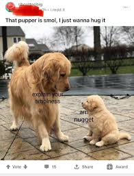 And i have heard rumblings of rumors on the internets of an empire of dust 2: It S All So Tiresome Doggohate