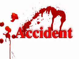 Cyclist killed in road accident - Nagpur Today : Nagpur News
