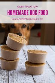 make your own healthy dog food