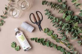 You may want to grow cannabis indoors due to inclement weather in your area or due to a lack of. Eucalyptus Plant Care Growing Guide