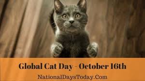Radio station programming register a national day. Global Cat Day 2021 Things Everyone Should Know