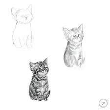 Cat Drawing Learn How To Draw A Cat Animal Art Education Tutorial Drawing Art Cat Animal Sketch Art Animal Drawings Kitten Art Cat Drawing Tutorial