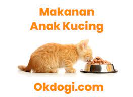 We did not find results for: Cara Memberikan Makanan Untuk Anak Kucing Bawah 1 Tahun Okdogi Com