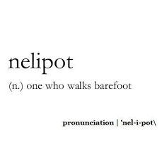 So When I Looked Up On The Net How To Use This In A Sentence They Gave Me Jesus Was A Nelipot Ugh Could They Not H Unusual Words Weird Words