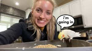 Homemade Cockatiel Seed and Grain Mix Recipe