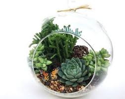 Fairy Garden Accessories Etsy In 2020 Succulent Terrarium Terrarium Diy Diy Succulent Terrarium