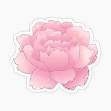We did not find results for: Grunge Pfp Gifts Merchandise Redbubble