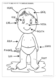 Activities like circle the word that is the opposite of the first word, reading stories like baby chickens, big balloons, … with simple questions at the end of. Pin On Human Body Parts Of Our Worksheet Free Math For Children Arithmetic Computation Practice Test Grade Assessment Parts Of Our Body Worksheet Coloring Pages Solving Two Step Equations Worksheet 7th Grade