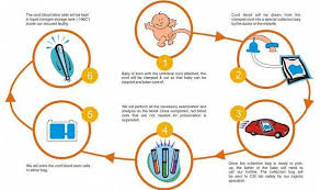 All About Umbilical Cord Blood Stem Cell Banking Procedure