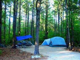 Maybe you would like to learn more about one of these? Cold River White Mountain National Forest Recreation Gov