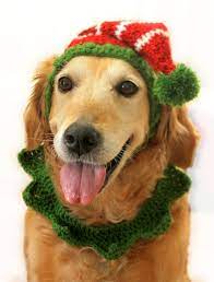 Elf Hat For Dogs Pawsomecrochet Christmas Dog Hat Dog Holiday Dog Hat