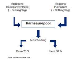 Ist während einer solchen diät ratsam. Ernahrung Bei Hyperurikamie Und Gicht