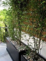 Learn how to care for bamboo and see 11 bamboos that work well outdoors. Bamboo Design Ideas Pictures Remodel And Decor Bamboo Planter Terraced Landscaping Outdoor Gardens