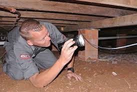We did not find results for: Pest Control Tweed Heads Pest Ex