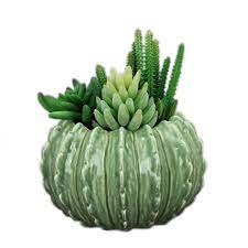 Check spelling or type a new query. Ceramic Bonsai Cactus Shaped Pot Ceramic Garden Succulent Plant Flower Pot Buy Ceramic Bonsai Pot Ceramic Succulent Planter Pot Ceramic Cactus Shaped Pot Product On Alibaba Com