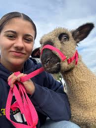 Fairentry deadline is July 21st at 11:59pm