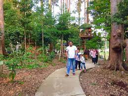 Main main di hutan lindung kota langsa,,siapa tau ada mangsa. Hutan Lindung Kota Langsa Steemit