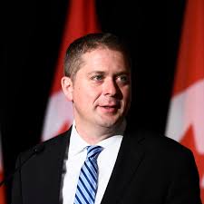 Former leader Andrew Scheer finds place in Conservatives' new shadow  cabinet