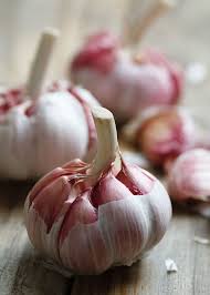 C Est La Belle Vie Luizlaercio Luizlaercio Garlic Original Mar Vegetables Photography Food Food Photo