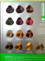 Another best alternative is the ash blonde that rightfully complements your skin tone. Haircraft Ammonia Free Hair Coloring Cream Hbc Shopee Philippines
