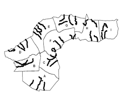 Image result for Rytigynia kiwuensis