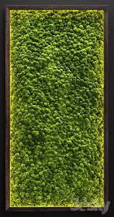 3d Models Fitowall Moss Wall 2 Moss Wall Art Moss Wall Green Wall Art