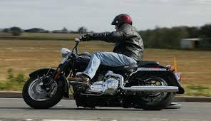 Image result for Bright Wineberry 1993 FXSTS