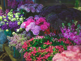 ✓ free for commercial use ✓ high quality images. Free Photo Flower Shop Stand With Lots Of Varieties Of Flowers