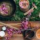 Restorative Touch & Essential Oils event image