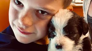 Fundraiser by Allison Moon : Therapy Dog for Gabriel Moon