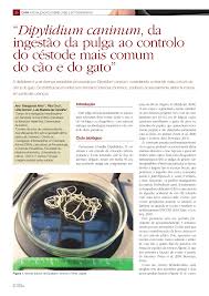 Гельминтофауна кошек представлена 9 видами; The Presence Of Dipylidium Caninum Proglottids In The Faeces And Download Table