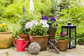 8 tipps für eine pflegeleichte gestaltung. Pflanzkubel Bepflanzen Anleitung Fur Garten Und Balkon