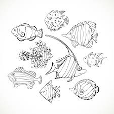 Set 9 Hand Drawn Fish Png Doodle Fishes Svg Fish Clipart Etsy In 2020 Banner Drawing How To Draw Hands Easy Fish Drawing