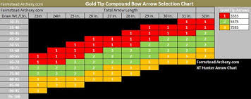 gold tip xt hunter google search ar 15 and glock 22