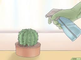 26 Gambar Kartun Merawat Tanaman 3 Cara Untuk Merawat Tanaman Wikihow Download Macam Macam Tanaman Hias Daun Yang Harus Diket Tanaman Gambar Kartun Gambar