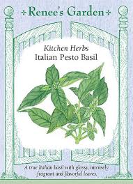 Check spelling or type a new query. Italian Pesto Basil Kitchen Herbs Renee S Garden Seeds